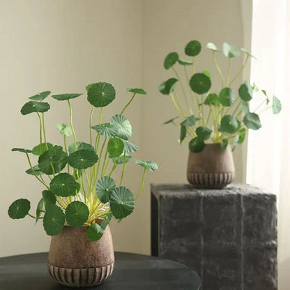 Copperleaf Seeds: Grow Your Own Luck and Prosperity! 🌿💰