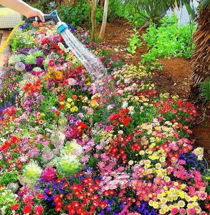 🔥Last day clearance💝Premium Cold-Hardy Mixed Perennial Seeds - Selected 40+ Fall Planting Mix