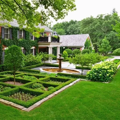 🌱 Four Seasons Evergreen Dwarf Grass Seed | Creating the ideal lawn starts at this moment!