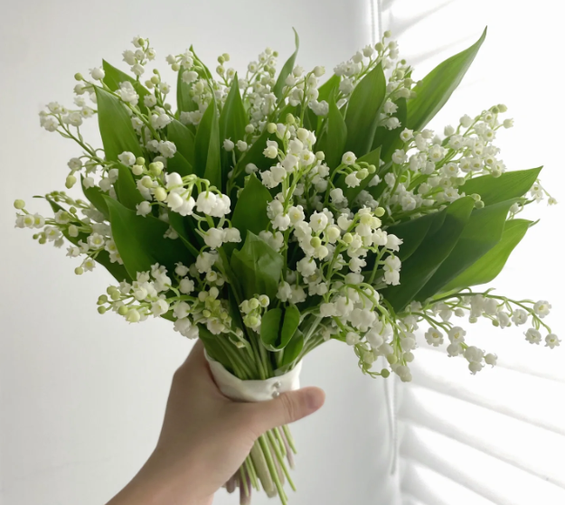 💐Lily of the Valley—Happiness Arrives