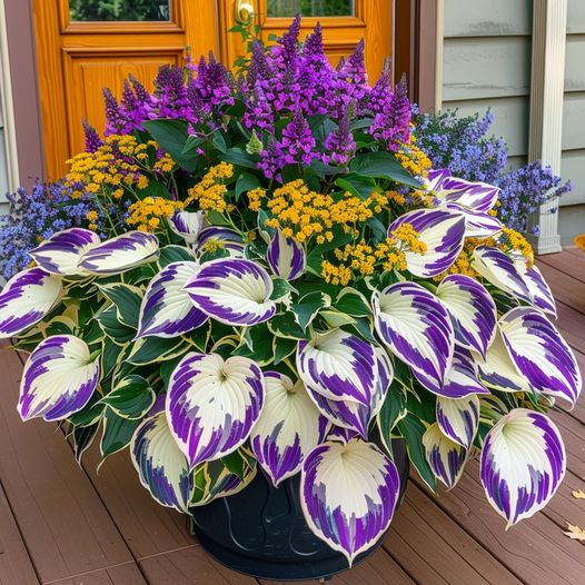 🔥Premium Rare Hosta Seeds🌿Turn Your Garden Into a Designer Landscape