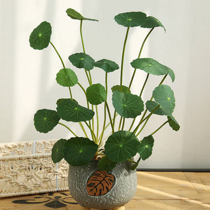 Copperleaf Seeds: Grow Your Own Luck and Prosperity! 🌿💰