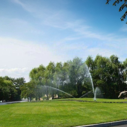 🌱 Four Seasons Evergreen Dwarf Grass Seed | Creating the ideal lawn starts at this moment!
