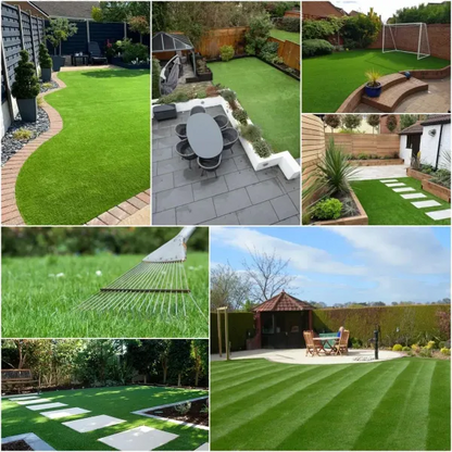 🌱 Four Seasons Evergreen Dwarf Grass Seed | Creating the ideal lawn starts at this moment!