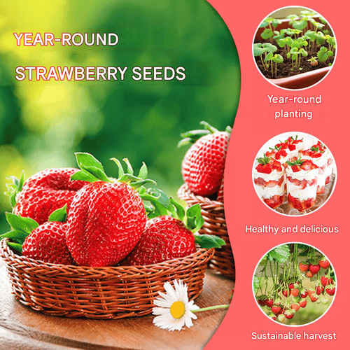 Creamy Strawberry Seeds🍓
