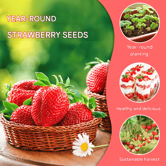 Creamy Strawberry Seeds🍓