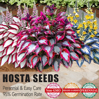 Nothing Grows in Shade? Watch This… 🌿 Turn Dead Corners Into a Lush Garden Paradise