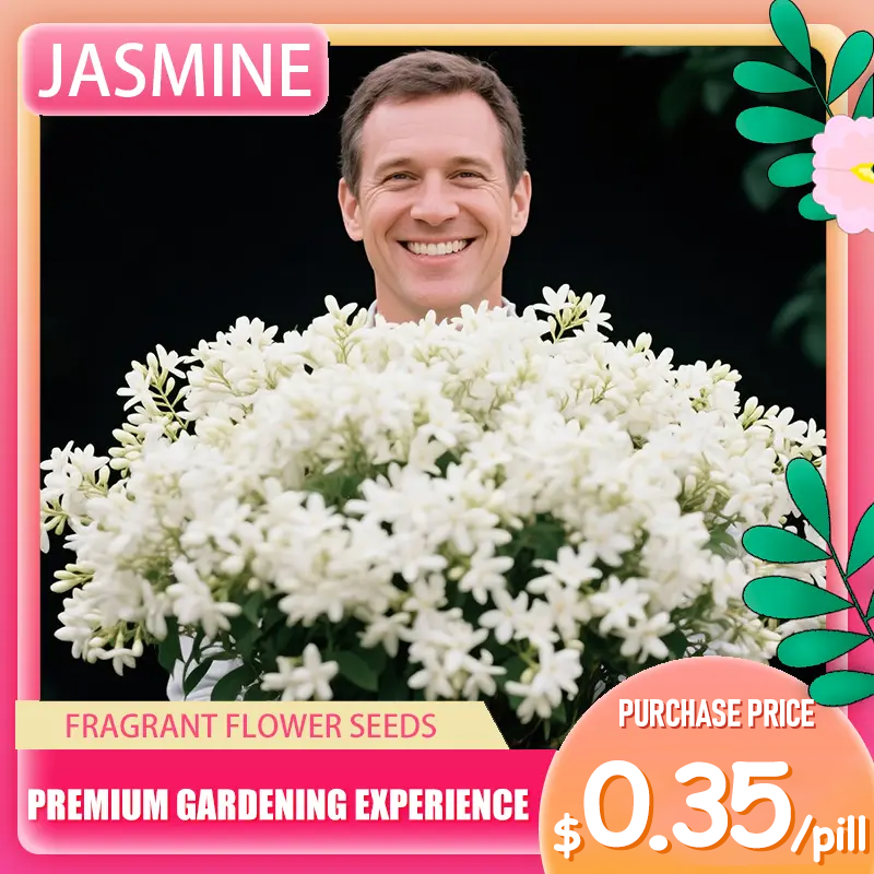🌼Double Jasmine 🌸 Easy to Grow & Wonderfully Fragrant