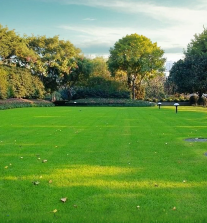 🌱 Four Seasons Evergreen Dwarf Grass Seed | Creating the ideal lawn starts at this moment!