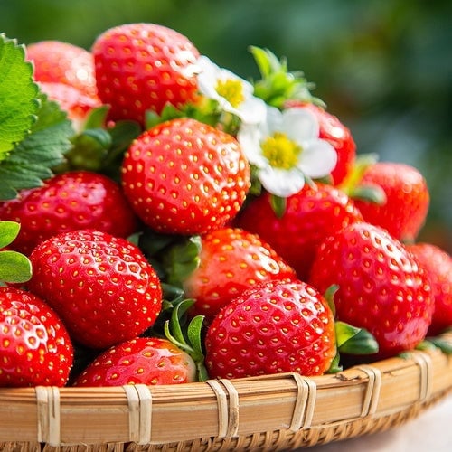 Creamy Strawberry Seeds🍓
