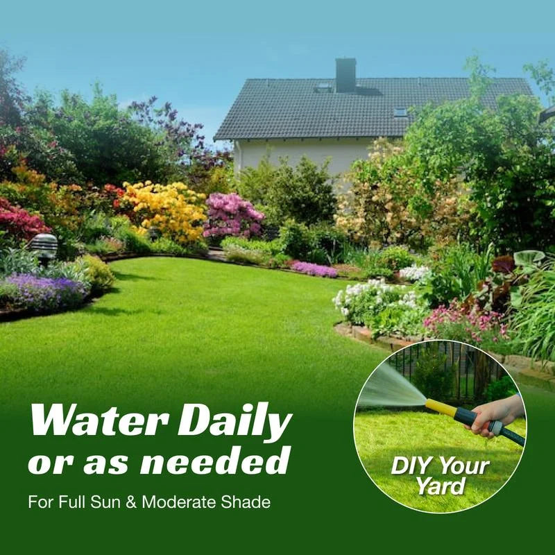 🌱 Four Seasons Evergreen Dwarf Grass Seed | Creating the ideal lawn starts at this moment!