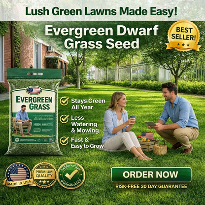🌱 Four Seasons Evergreen Dwarf Grass Seed | Creating the ideal lawn starts at this moment!